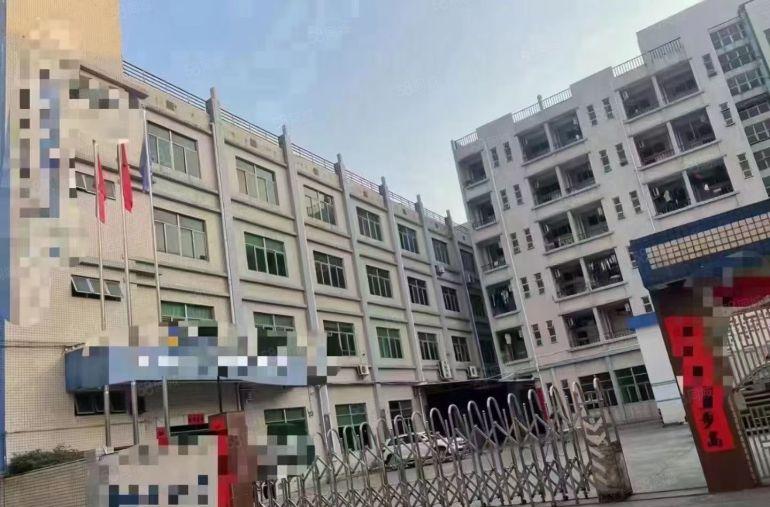 无公摊！南栅原房东6000平豪华装修独院厂房出租啦