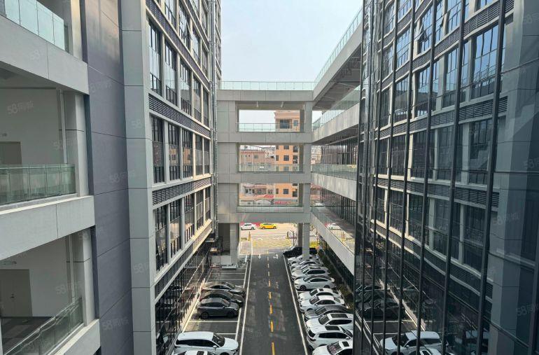 长安全新一楼厂房出租，一手房东价格优惠，层高8米，可办环评