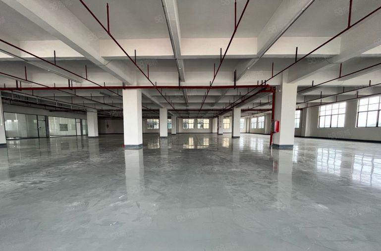 长安沙头精装修1500平厂房出租 模具 五金 可分租 高速