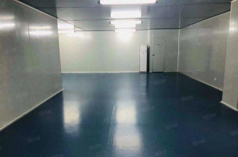 厂房出租1200平方，标准工业园区消防证件齐全，精装无尘车间