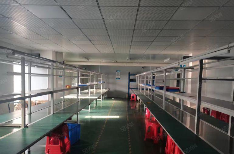 电子烟厂房,长安镇厦边社区3楼实际面积700平带无尘车间，