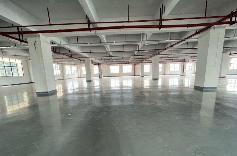 长安沙头精装修1500平厂房出租 模具 五金 可分租 高速