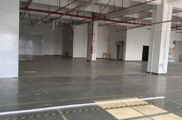 长安高标准独院厂房800平方出租 带装修.