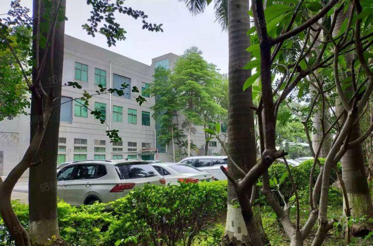 长安镇一手房东红本带现成无尘车间，3.5万独门独院厂房招商