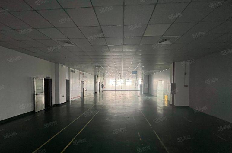 长安乌沙大润附近新出楼上精装修1500平，带部分无尘车间