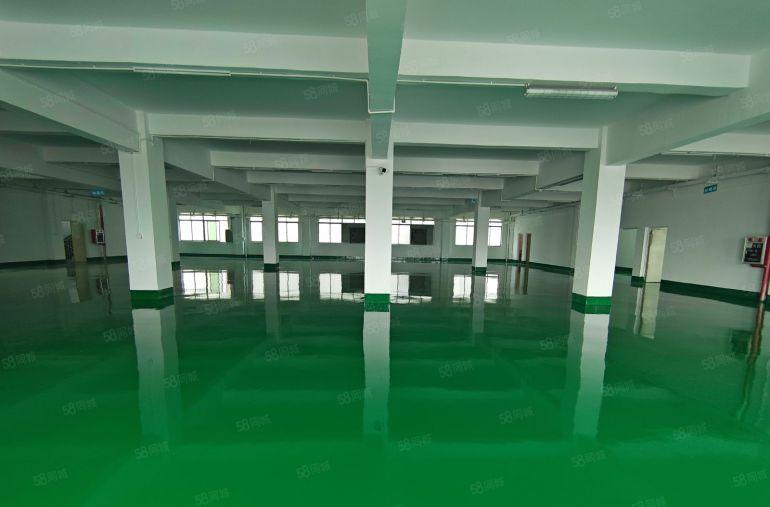 8元长安沙头小独院，楼上全新地坪漆1400平厂房出租带装修