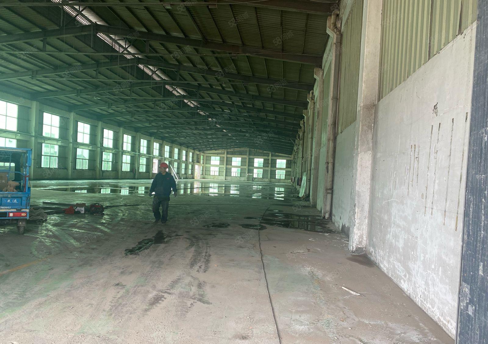 常平镇新出单一层9米高独门独院厂房8000平方米出租。