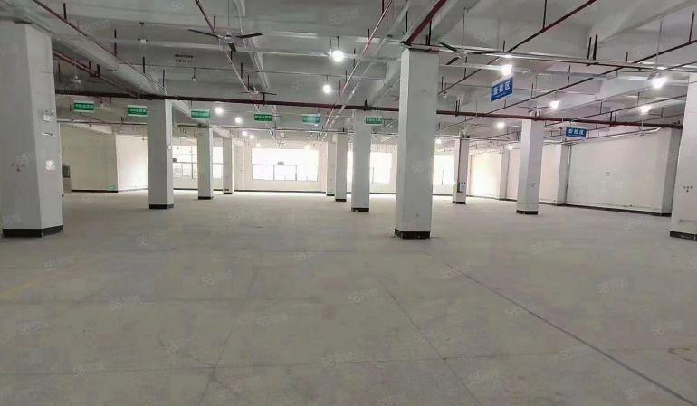 东莞常平客户大车可掉头有红本带精装办公室