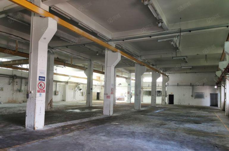 常平原房东独门独院厂房12层3000平米，现成办公室装修。