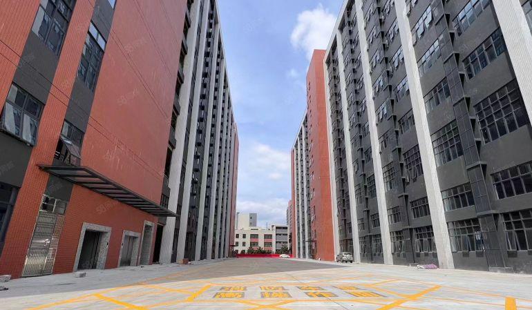 常平新建一手全新标准原房东厂房