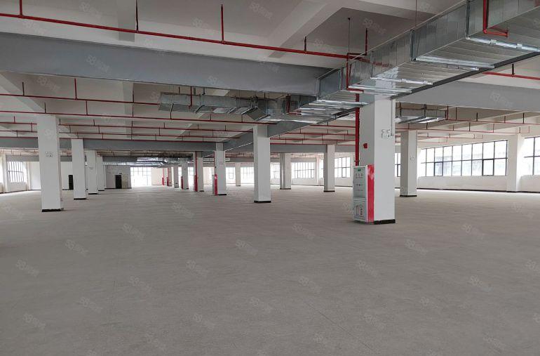 常平新出原房东独院8000平低价厂户出租可分租