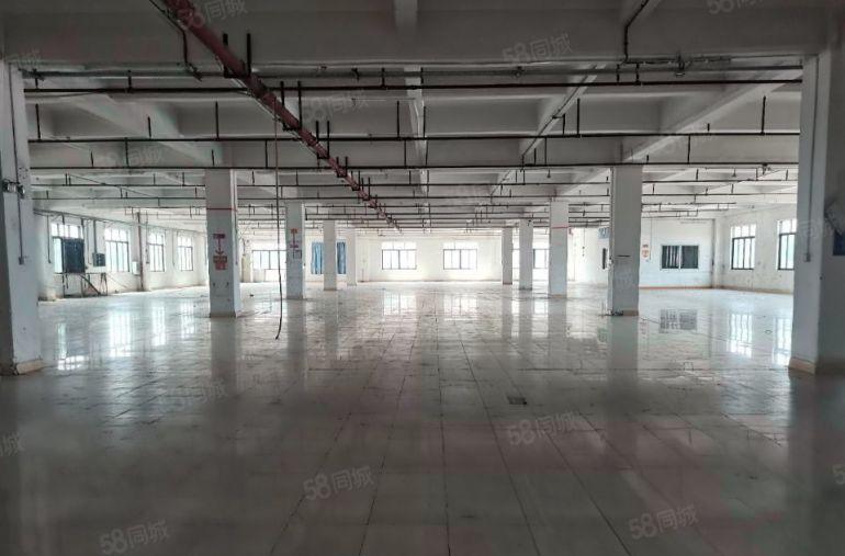 10元常平桥沥花园式红本独院厂房10800平（宿舍按需