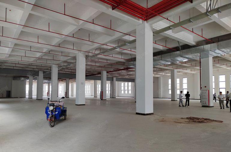 常平新出原房东独院8000平低价厂户出租可分租