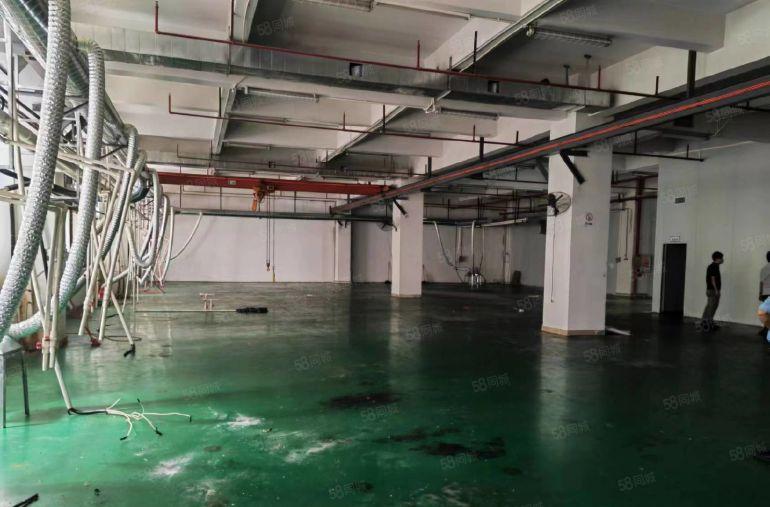 常平土塘重工业工业园厂房分租楼上1200平方层高4.5米含税