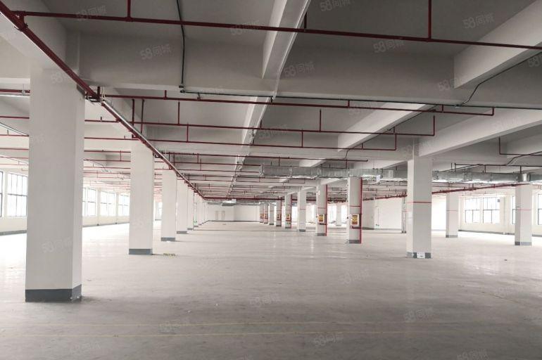 常平新出9成新标准厂房出租 带地坪漆 （送豪华装修办公室）