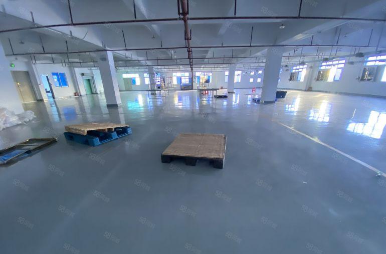 厂房出租  原房东  实图实拍  适合电子五金组装包装家具等