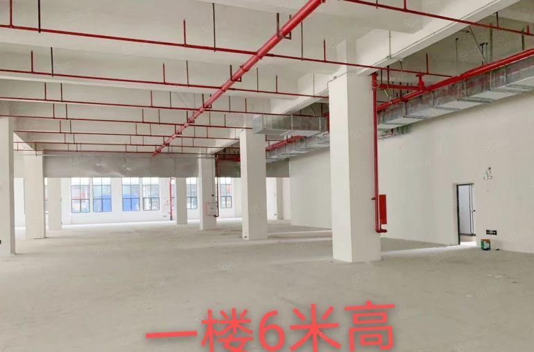 （独门独院6000平）原房东厂房电费自己交空地2000平