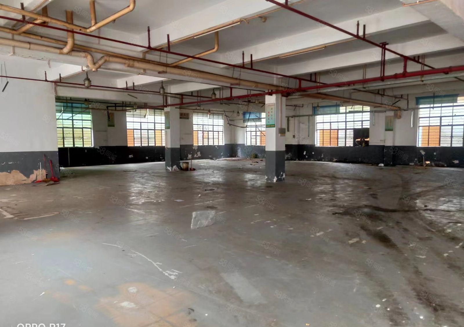 8.8元！厚街低价新推出厂房带办公室1330平！