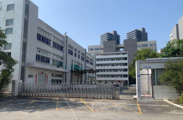 厚街新出独门独院5000平方原房东带红本精装修厂房出租可分租