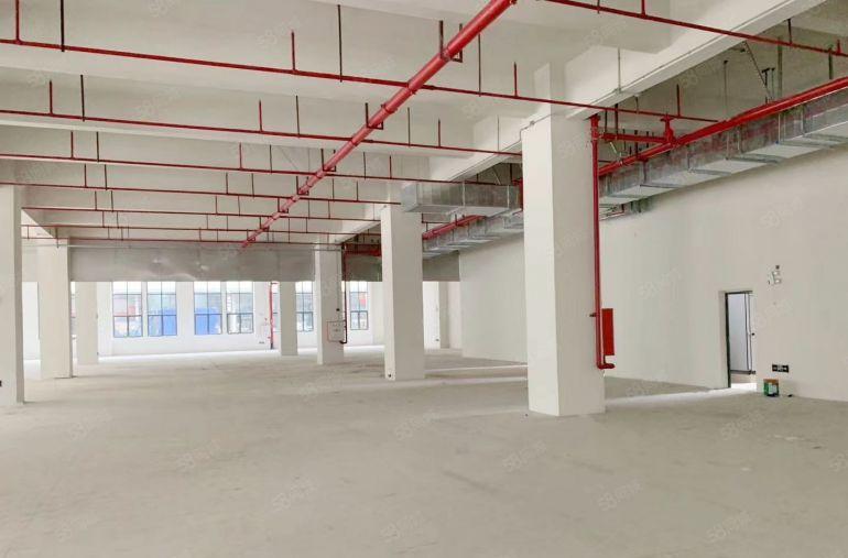 （独门独院6000平）原房东厂房电费自己交空地2000平