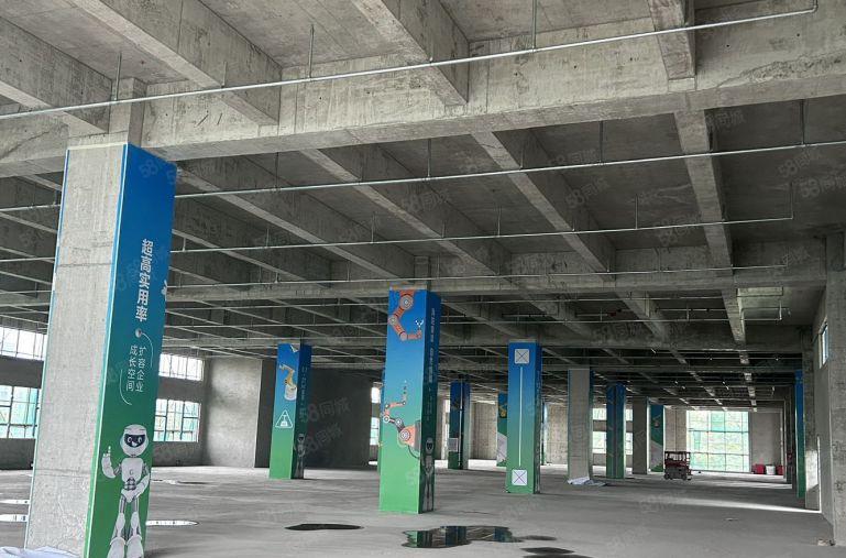 厚街全新高标红本厂房