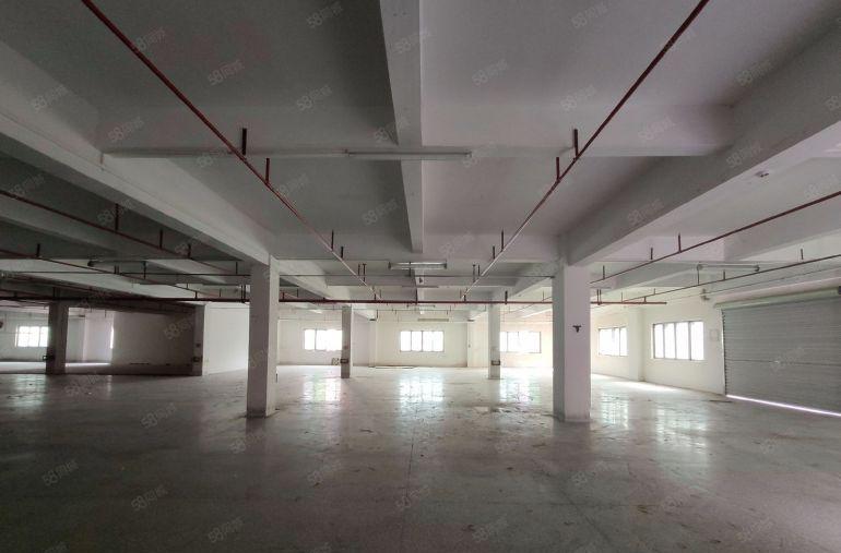 厚街标准小独院厂房 空地大 适合 鞋材 灯饰 五金 模具设备