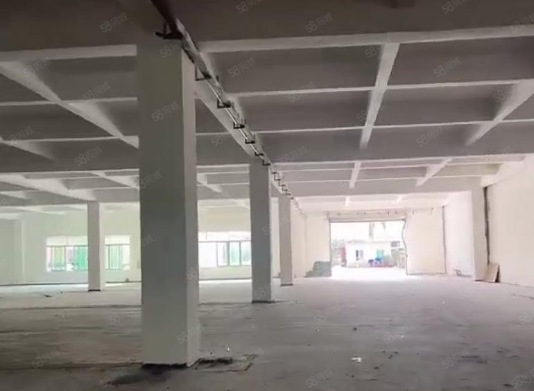 厚街莞太路旁全新一楼2000平标准厂房出租 带红本带消防喷淋