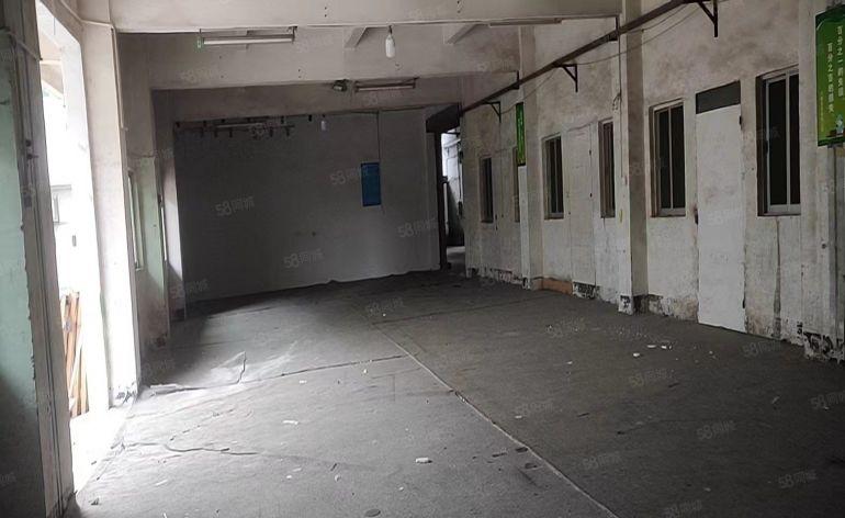 8.8元！厚街白濠独门独院年前低价推出，交通方便！