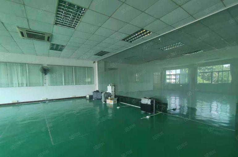 塘厦新出花园式独栋厂房出租，现成装修，房东好说话，无转让费