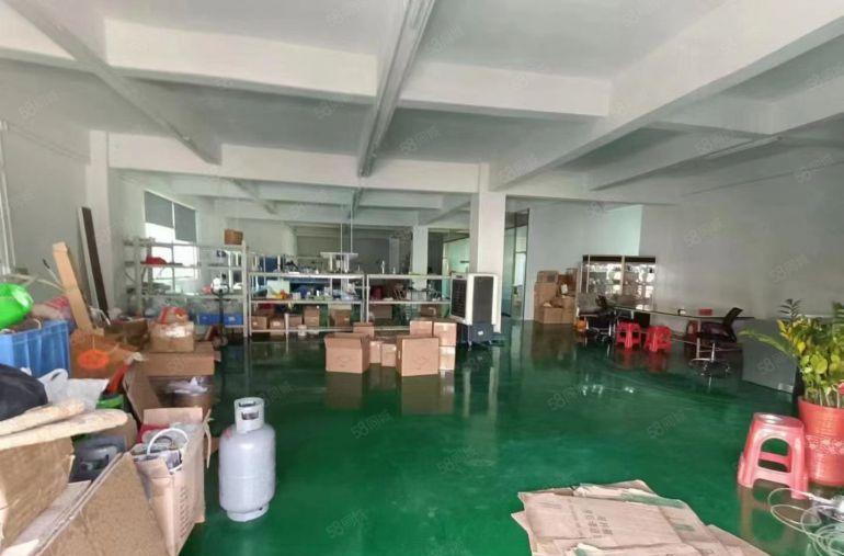 塘厦蛟乙塘一手房东一楼380平出租，内带装修水电办公室