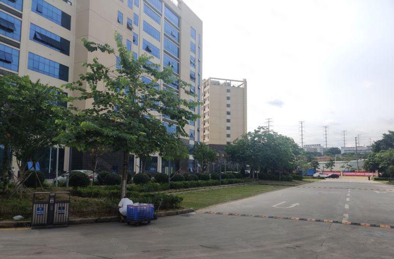 塘厦镇靠近深圳红本标准厂房8000平方500平方起分