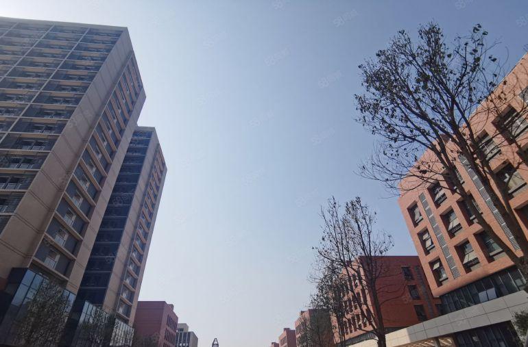 东莞塘厦塘厦镇35万平产业园招商