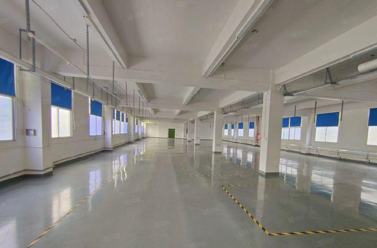 大坪原房东无杂费厂房出租，楼上950平水电已到车间 采光好