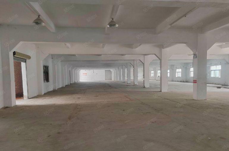 东莞塘厦平山高速出入口空出原房东一楼2500平方米实际面积