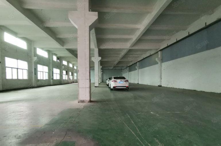 塘厦龙背岭园区标准一楼仓库厂房出租，带牛角水电现成可分租空地