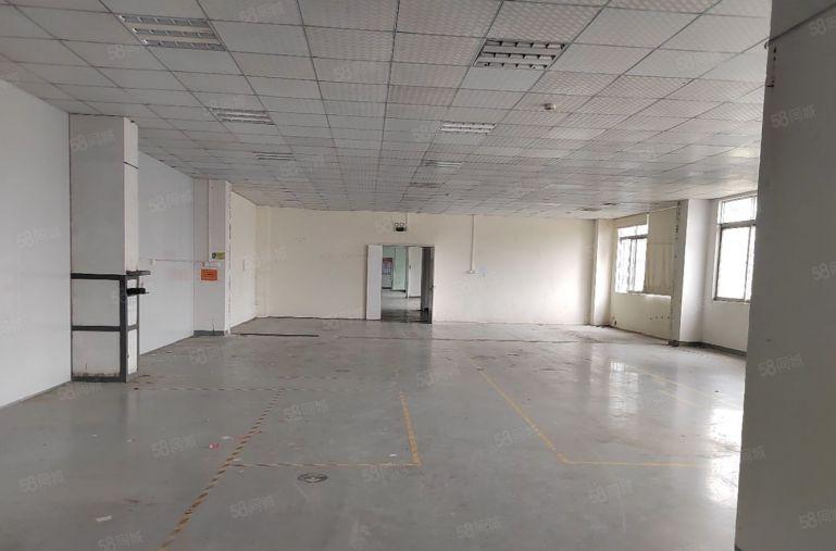 临深片区科苑城园区1800平带无尘车间办公室水电齐全无转让费