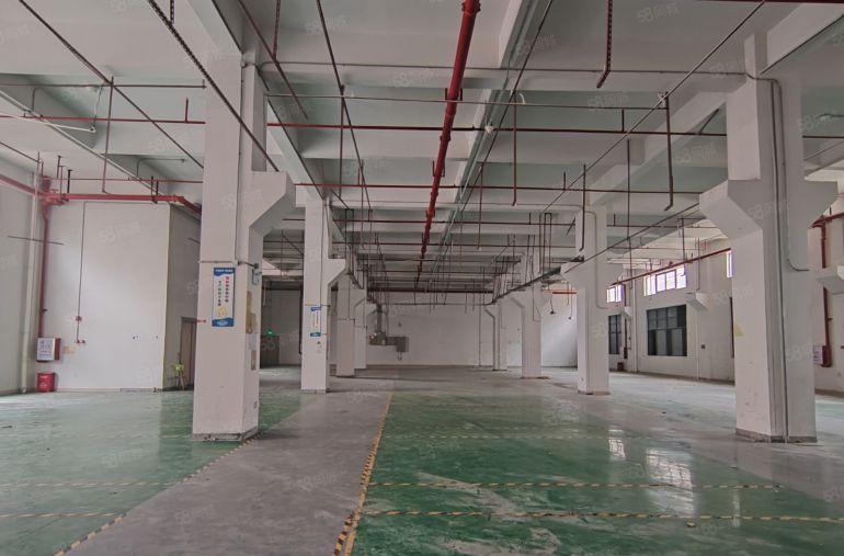 独门独院16层实际面积8000平方，可整租可分租 工业用地