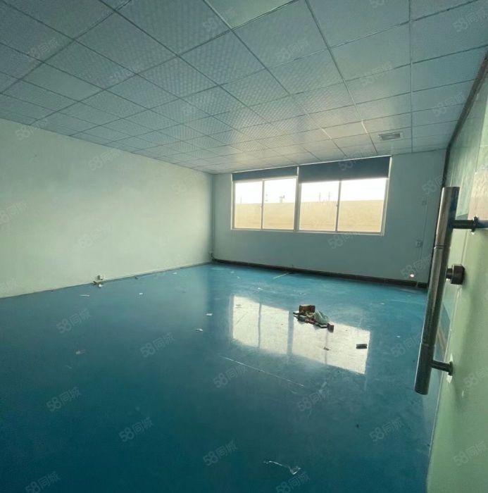 靠深圳科苑城 一手房东新出楼上620平方 全现成装修