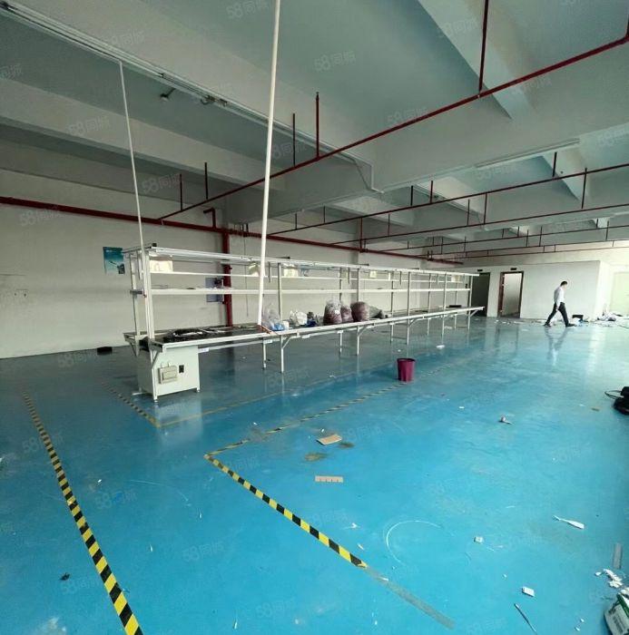 靠深圳科苑城 一手房东新出楼上620平方 全现成装修