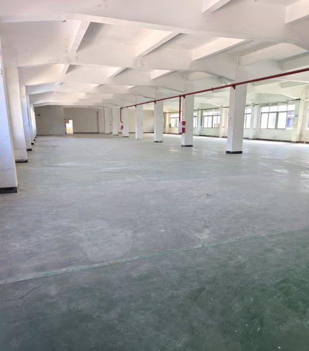 塘厦镇诸佛岭村新出3层独门独院厂房7600平方出租可分租