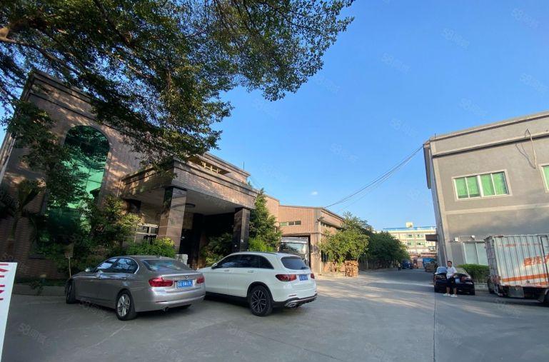 塘厦桥陇砖墙单一层4000平方！滴水8米！中间无柱子易规划