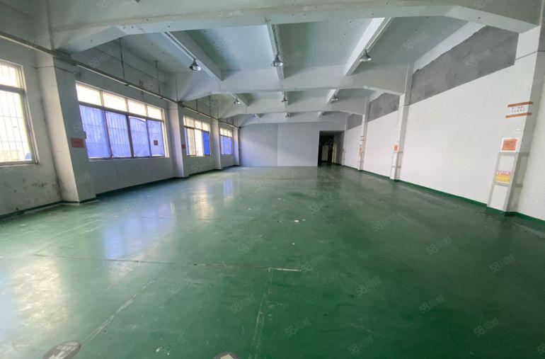 塘厦大坪新出独院标准3楼850平，全层地坪漆精装修，水电齐全