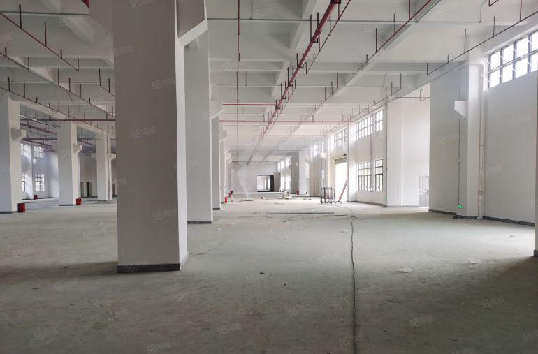 全新高标准工业厂房出租证件齐全房东直租