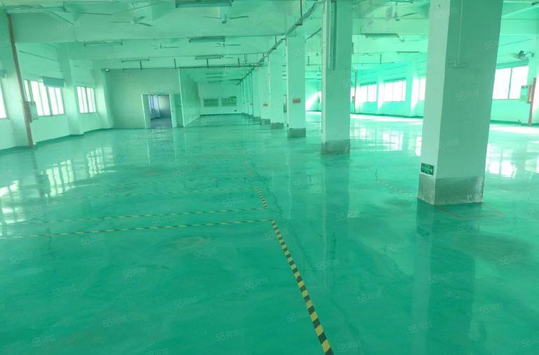 塘厦新出莆心湖楼上1500平方厂房，带现成地坪漆办公室