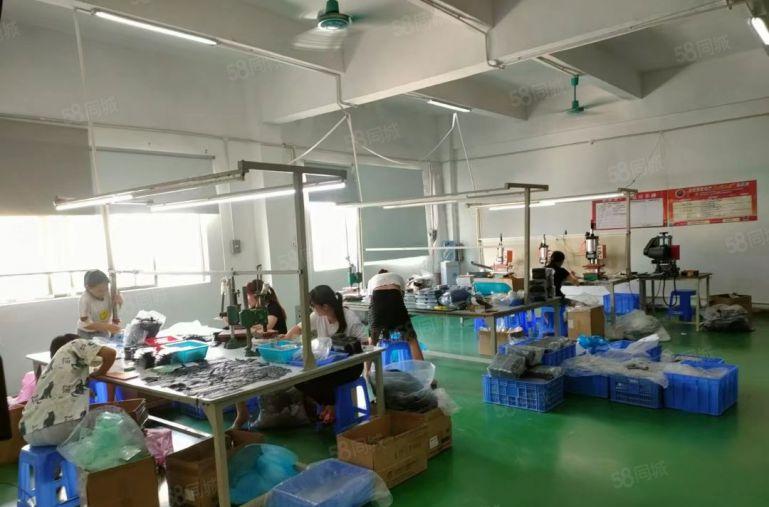 塘厦精装修厂房现成水电豪华办公室标准园区停车方便交通便利