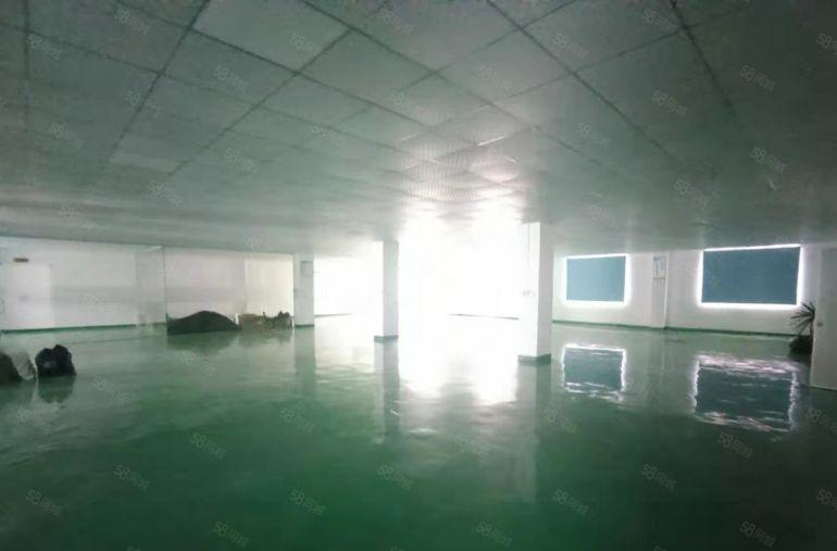塘厦科苑城二楼电子电池装修厂房出租1150平米