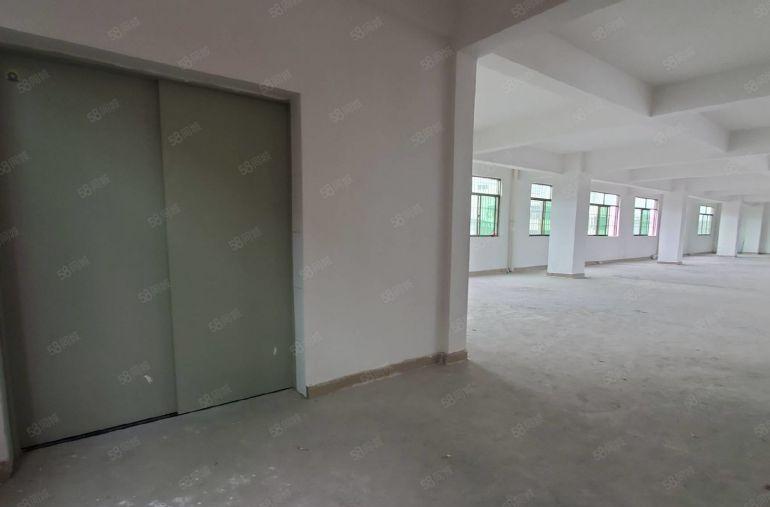 特价十元   可以做电池的标准厂房