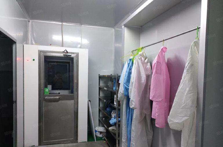 塘厦清湖头新出独院无尘车间厂房仓库500平，实际面积低价出租