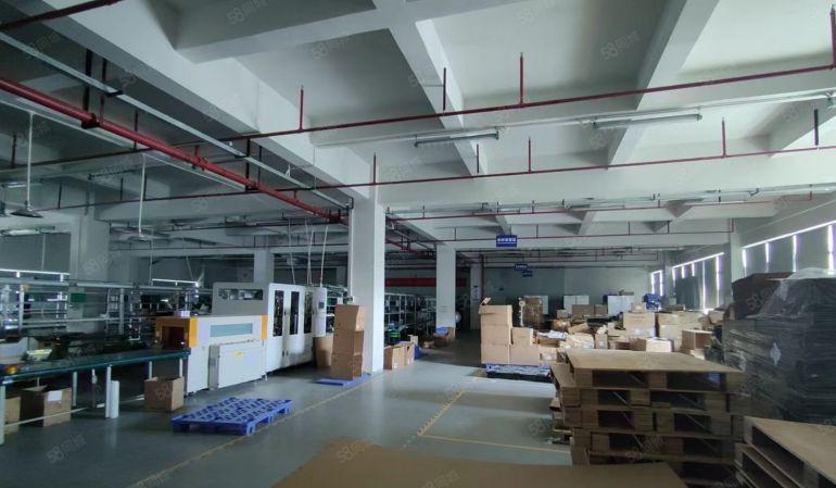 塘厦平山原房东可拿尺实量独门独院8000平厂房仓库低价出租