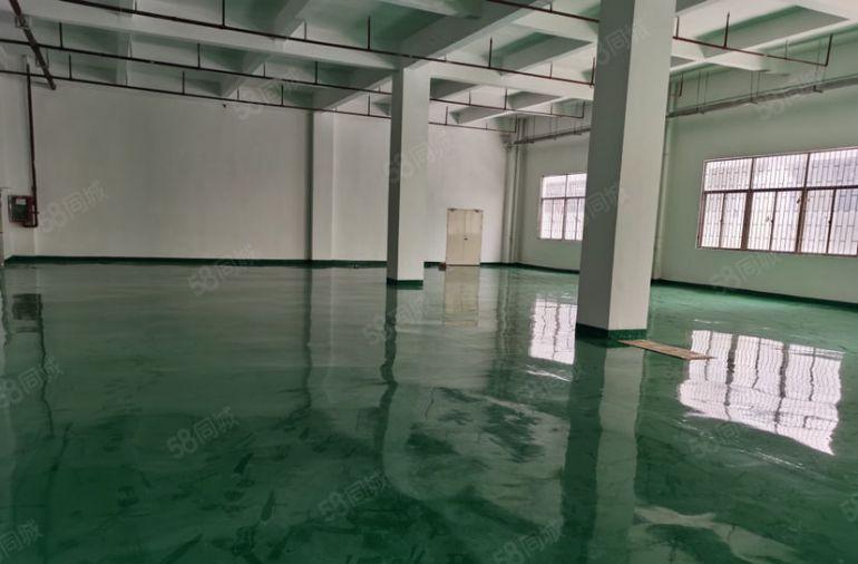 塘厦工业园内一楼780平仓库厂房出租，全新办公地坪漆可进大车